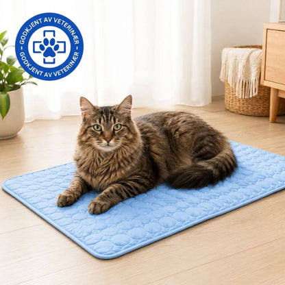 Beskytt katten din mot heteslag med Lorvea™ Kjølematte