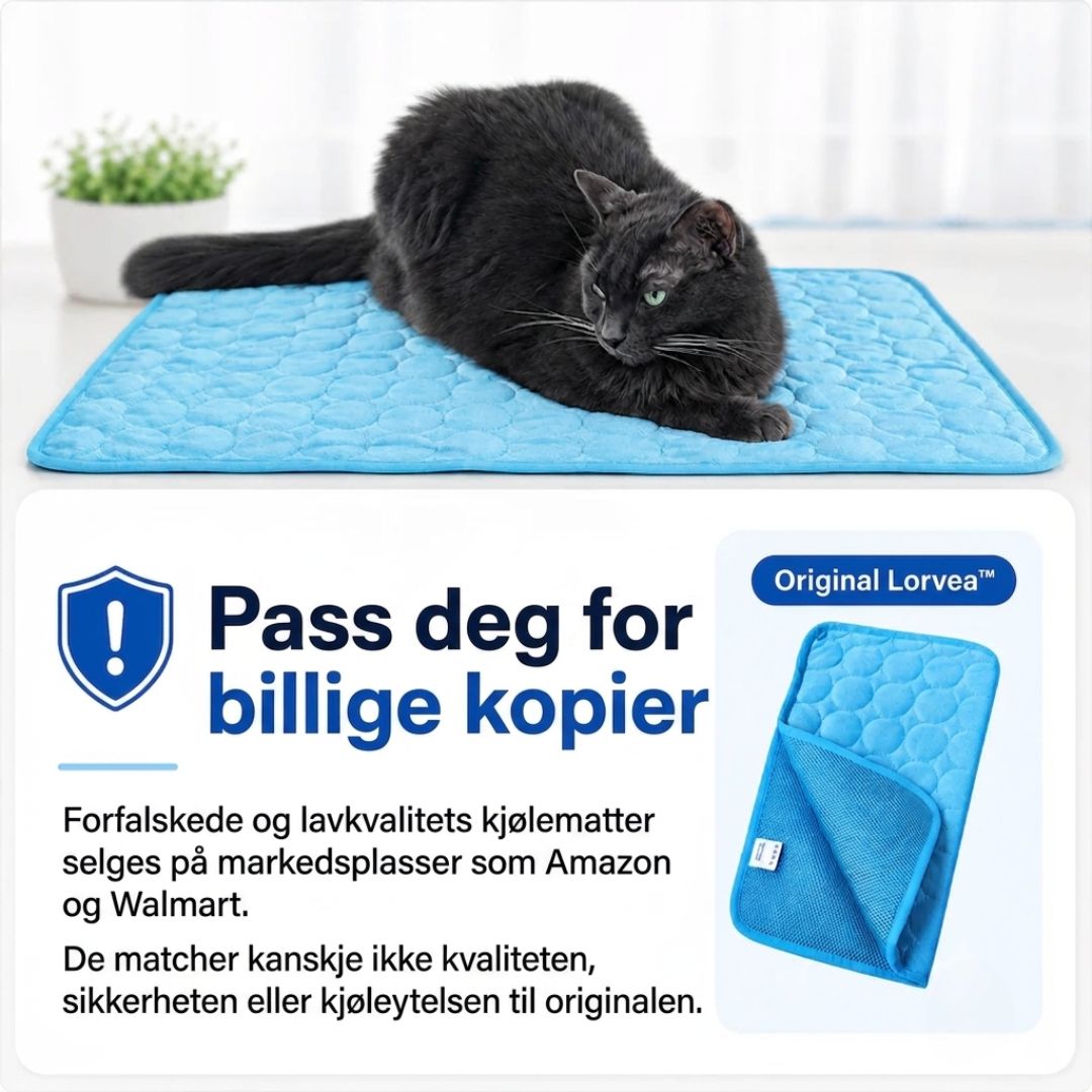 Beskytt katten din mot heteslag med Lorvea™ Kjølematte