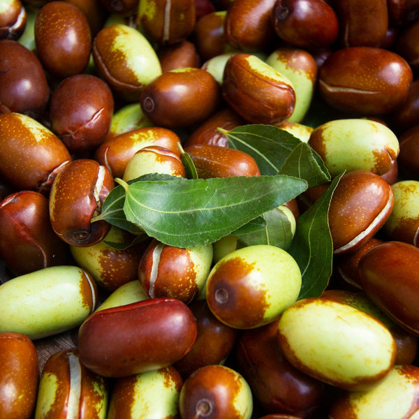 Huile de Jojoba